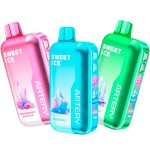 Одноразовая ЭС ARTERY CL6 50000 (Flavor+Ice) - Черника Мята